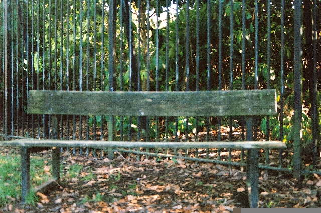 BENCH